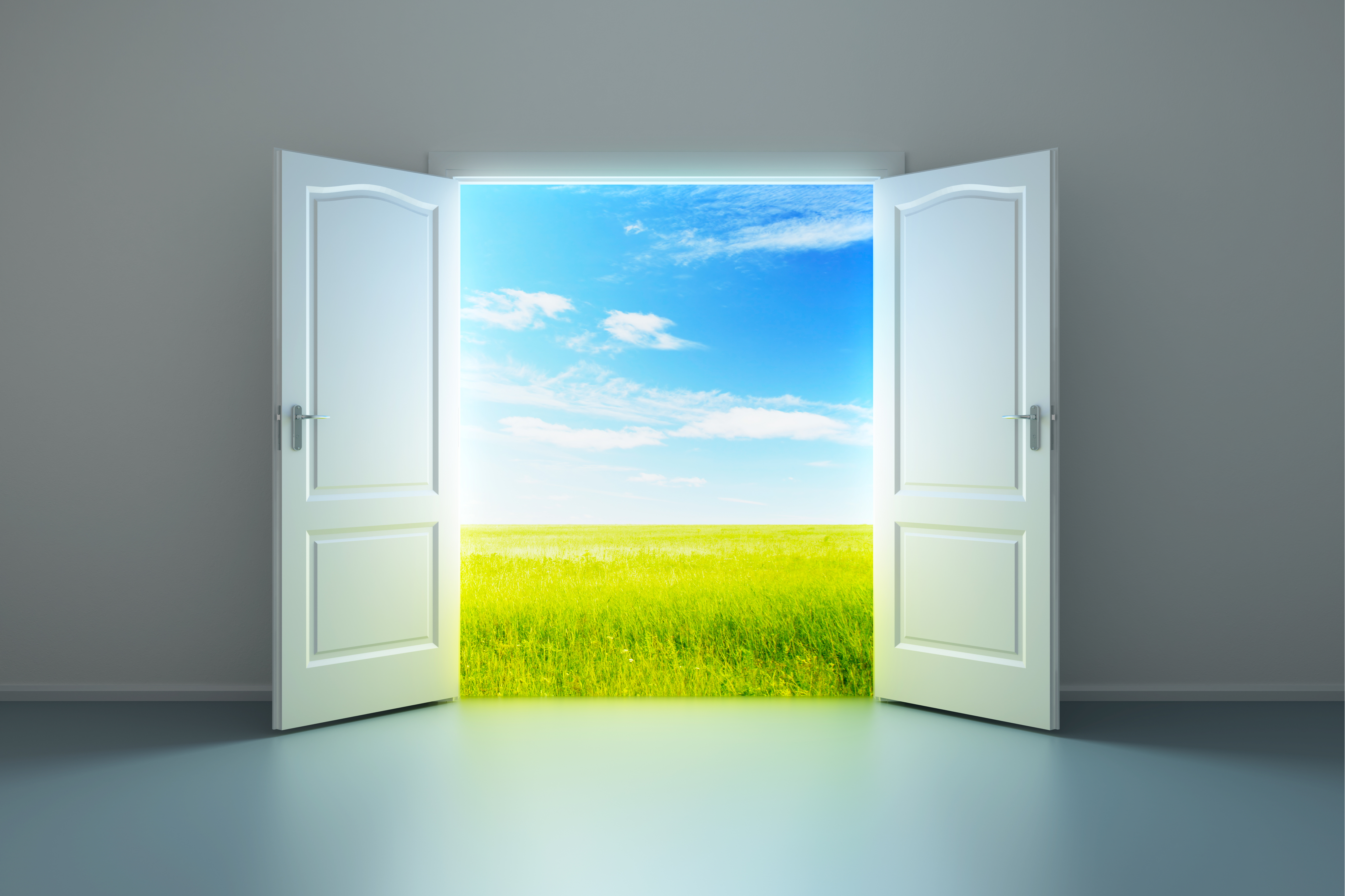 Create a Workplace Wellbeing Framework